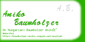 aniko baumholzer business card